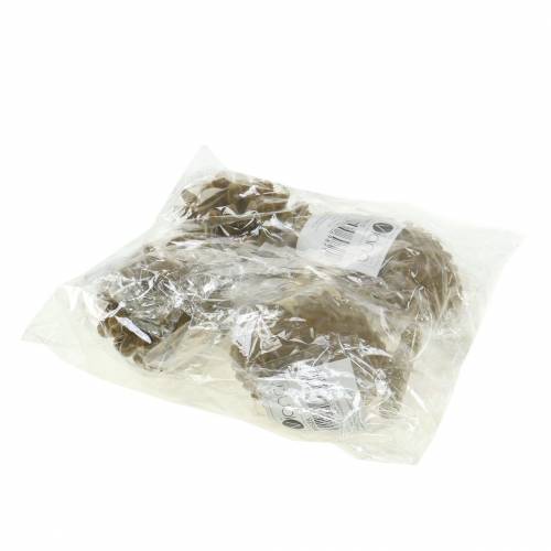 Floristik24 Kegels Hangende decoratie Bruin, Goud 9×7cm/8,5×6cm 4st