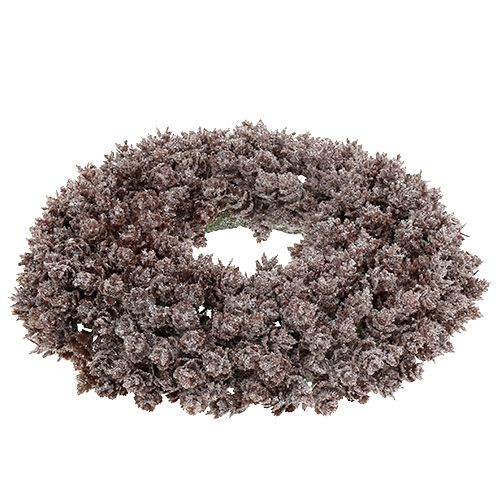 Floristik24 Dennenappelkrans Ø25cm met glitter