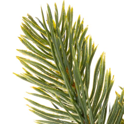 Kunstmatige groene dennentakken voor winterdecoratie, 25 cm, 24 stuks | Floristik24.nl