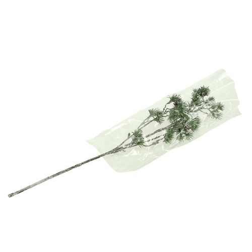 Floristik24 Dennentak witgekalkt groen 46cm