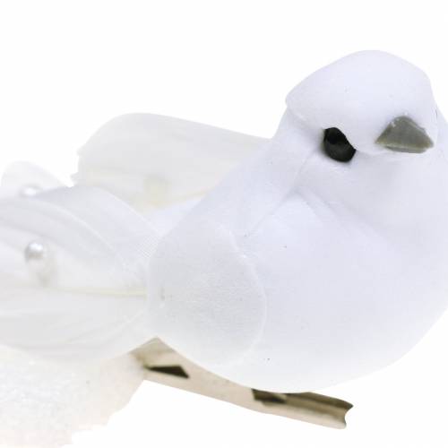 Floristik24 Duif met parels en clip wit H4.5cm 12st
