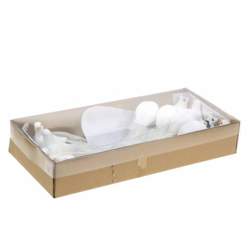 Floristik24 Duif paar op de draad wit 4-4.5cm 6 paar