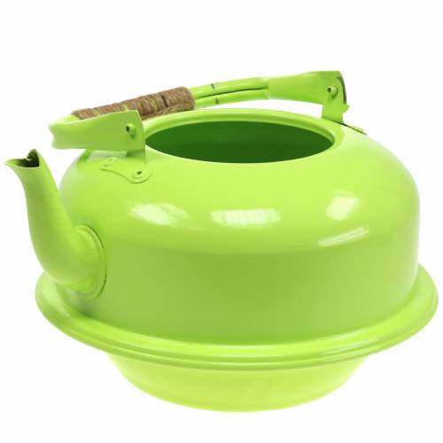 Floristik24 Planter Waterkoker Zink Mei Groen Ø26cm H15cm