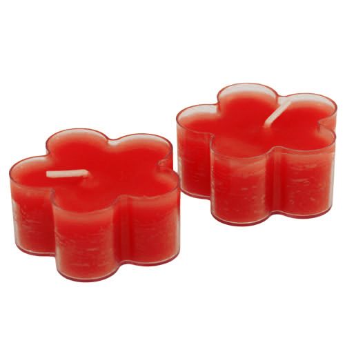 Floristik24 Bloesem Licht Robijn 12st