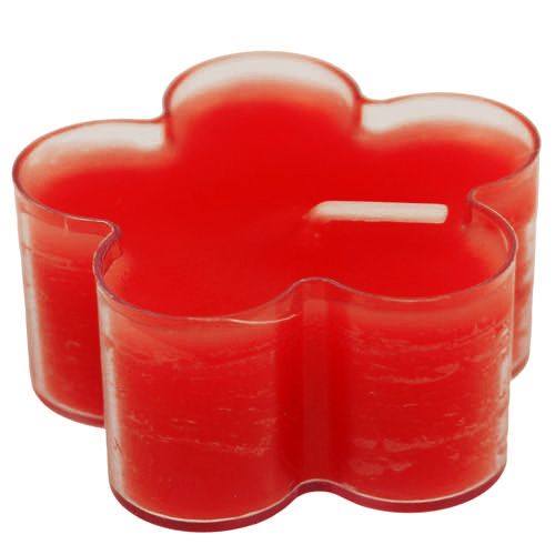 Floristik24 Bloesem Licht Robijn 12st