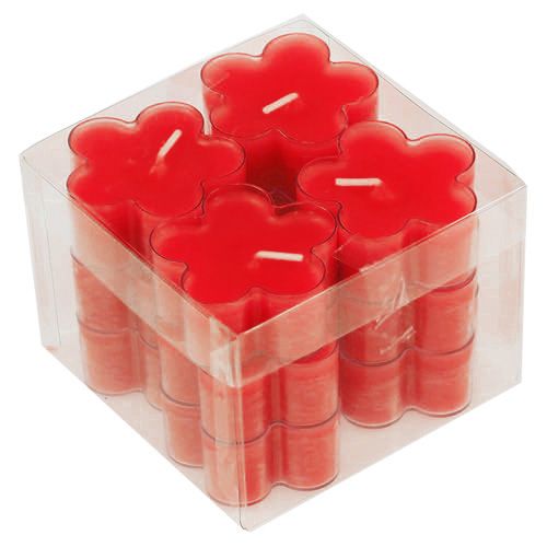 Floristik24 Bloesem Licht Robijn 12st