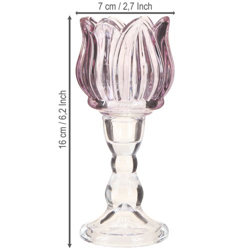 Artikel Theelichthouder glas tulp glas paars Ø7cm H16cm 2st