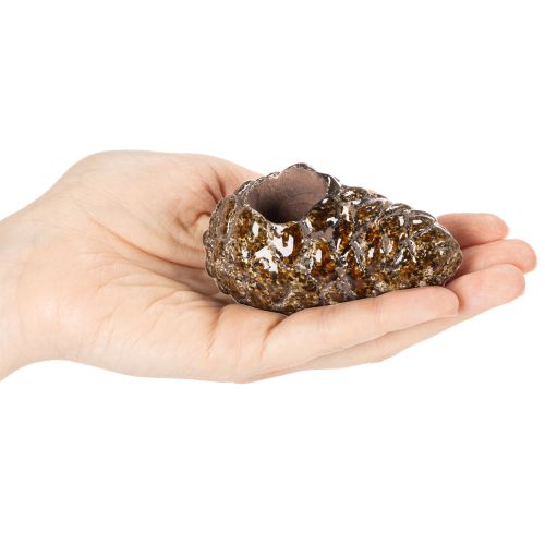 Theelichthouder in de vorm van een dennenappel, 8 cm, 3 stuks | Floristik24.nl
