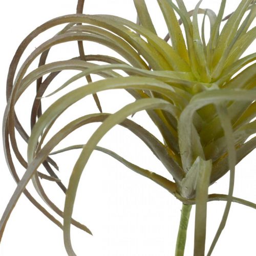 Floristik24 Tillandsia kunstplant om op te plakken groen-paarse kunstplant 13cm