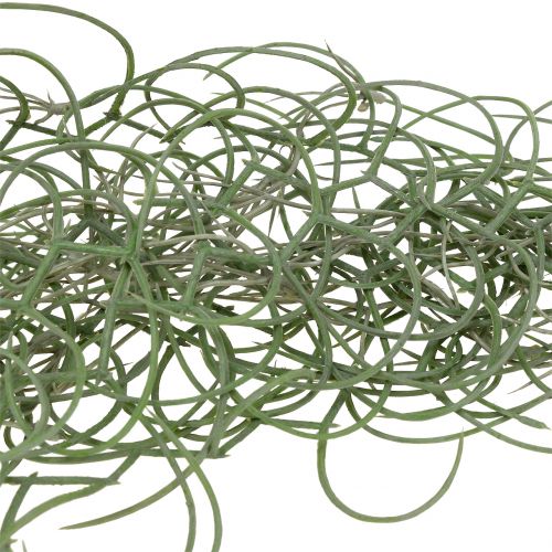 Floristik24 Tillandsia kunstgrijs 130cm