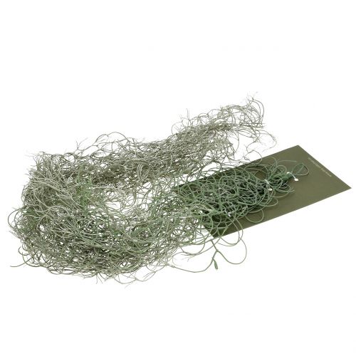 Floristik24 Tillandsia kunstgrijs 130cm