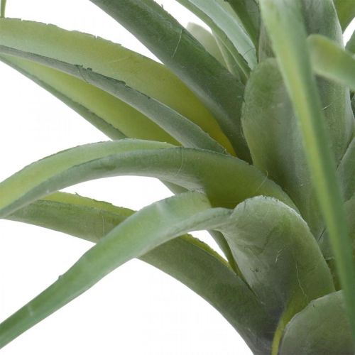 Floristik24 Deco Tillandsia kunstplant om op te plakken groen Ø45cm
