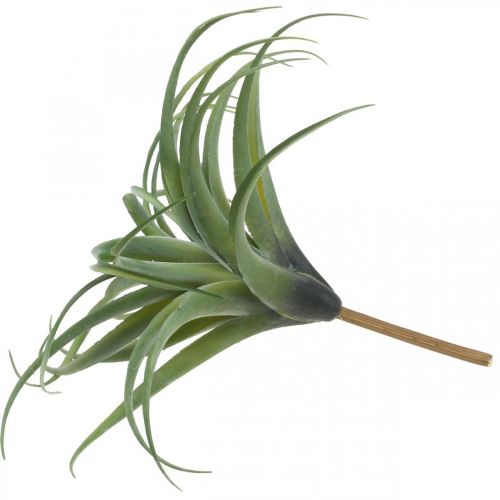 Floristik24 Deco Tillandsia kunstplant om op te plakken groen Ø45cm