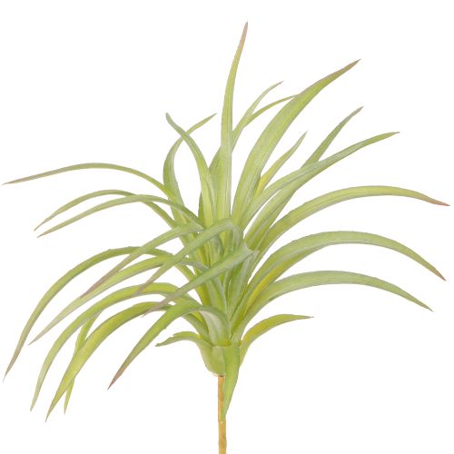 Floristik24 Tillandsia Groene Kunstplanten met Stok Ø17cm 3 st