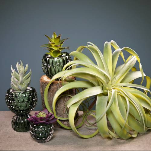 Tillandsia kunstplant om op te plakken lichtgroene kunstplant 30cm