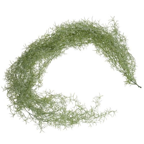 Floristik24 Tillandsia hanger groen 160cm