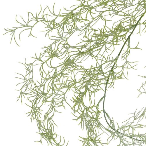 Floristik24 Tillandsia hanger groen 160cm
