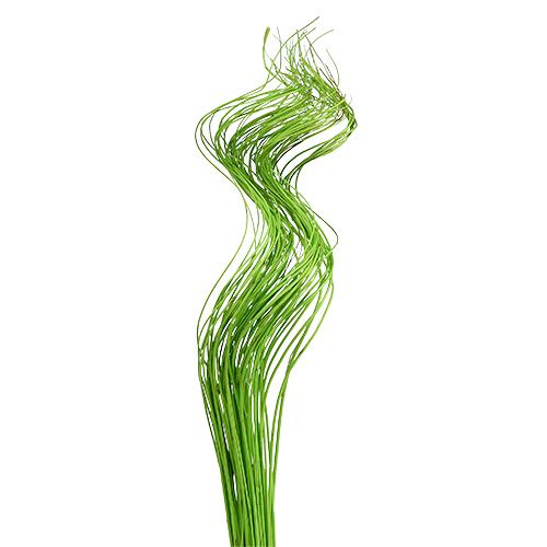 Artikel Ting Ting Krullend 60cm Groen 40 st