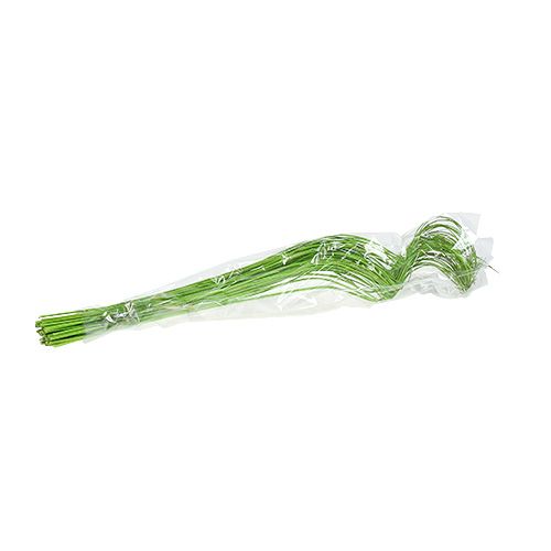 Floristik24 Ting Ting Krullend 60cm Groen 40 st