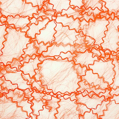 Artikel Tafellint Sizotwist Oranje 30cm 5m