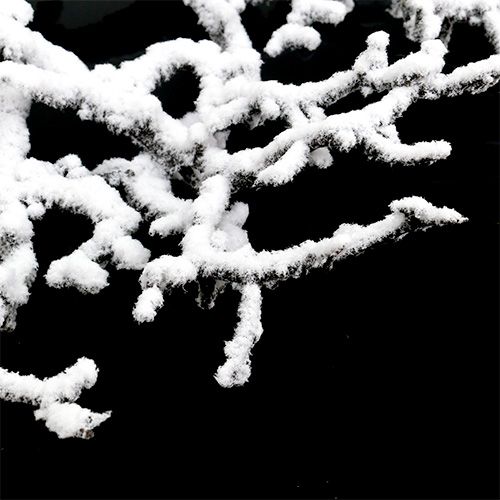 Artikel Tafeldecoratie takken met sneeuw Ø40cm 1 st