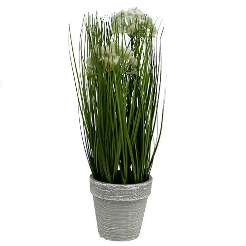 Floristik24 Tafeldecoratie decoratief gras in een groene pot 30cm