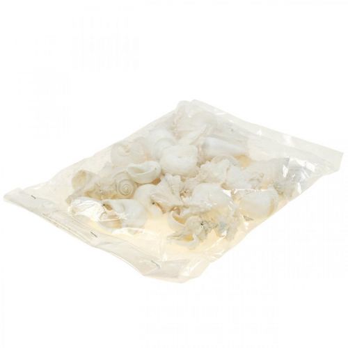 Floristik24 Tafeldecoratie maritiem, lege slakkenhuisjes wit 4–5cm mix 500g