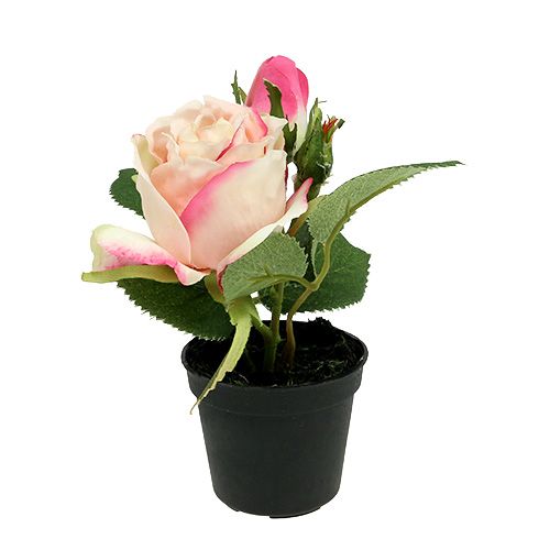 Tafeldecoratie roos in pot creme 14cm