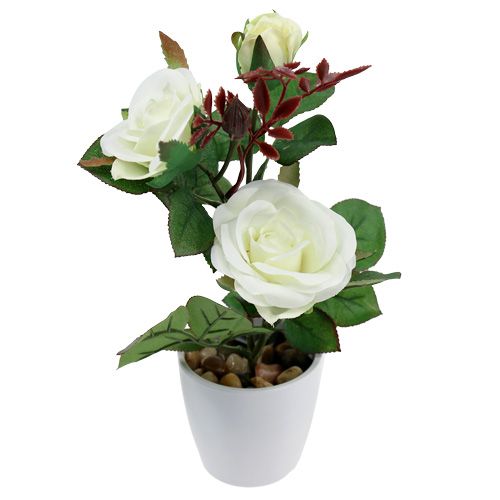 Floristik24 Tafeldecoratie roos in een pot wit 24cm