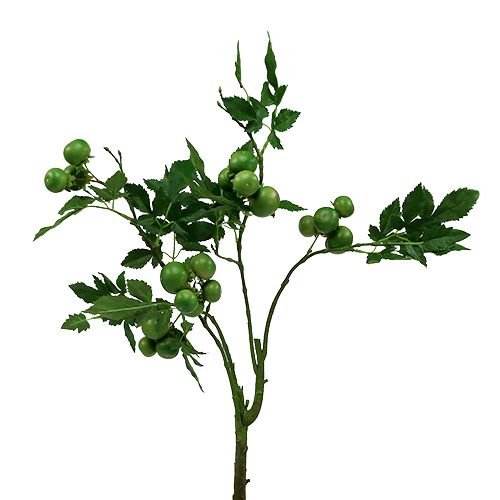 Tomatentak L60cm groen