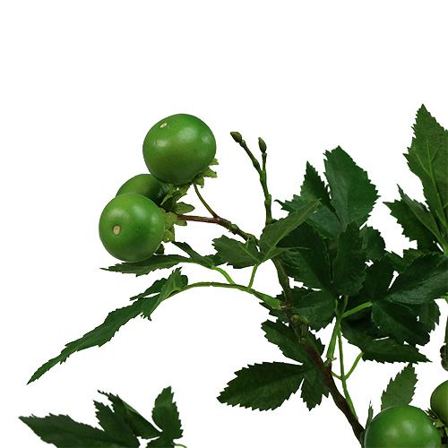 Floristik24 Tomatentak L60cm groen