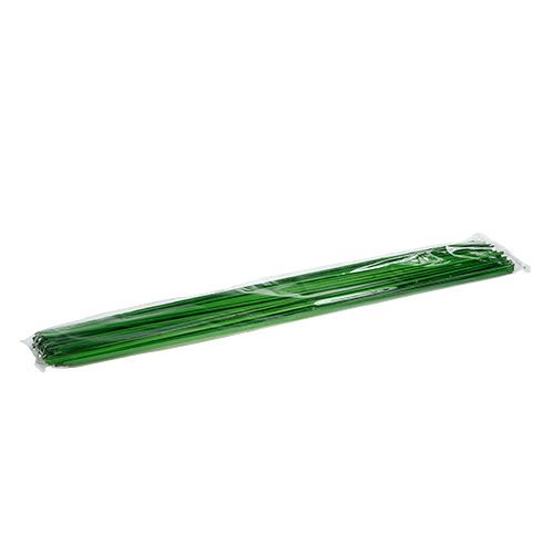 Floristik24 Tonkin Groen 70cm 150st.