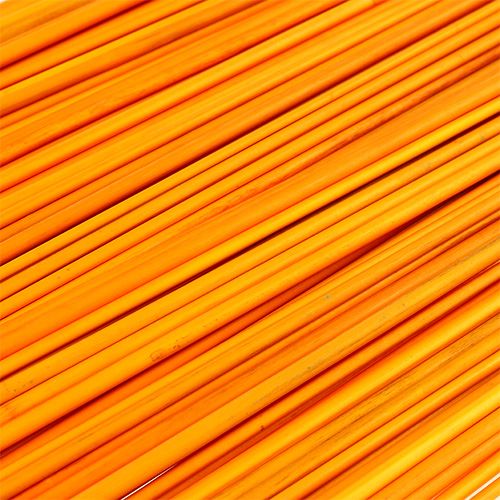 Floristik24 Tonkin goudgeel 70cm - 80cm 150 st.