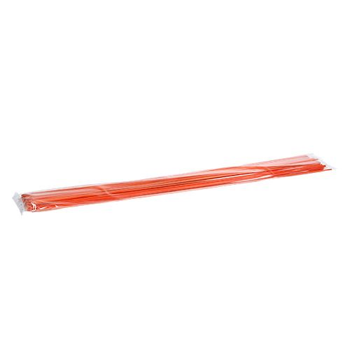 Floristik24 Tonkin Oranje 70cm 150st.