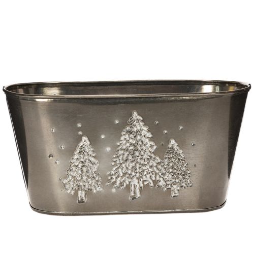 Ovale plantenbak met reliëf van een sparrenboom, 25 cm kopen | Floristik24.nl