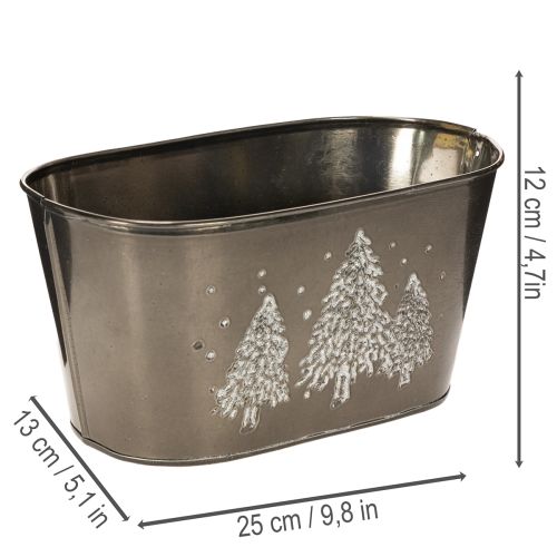 Ovale plantenbak met reliëf van een sparrenboom, 25 cm | Floristik24.nl