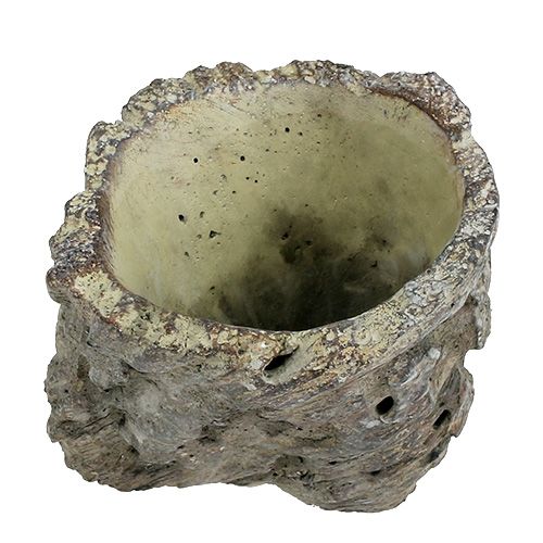 Floristik24 Pot als boomstam Ø10.5cm H12cm 2st