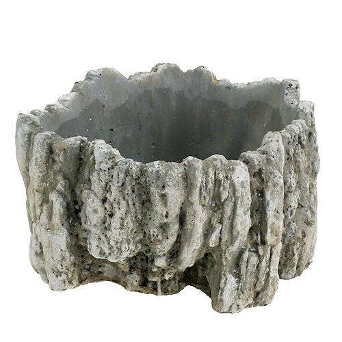 Floristik24 Pot met schors 20.5cm x 17cm 1st