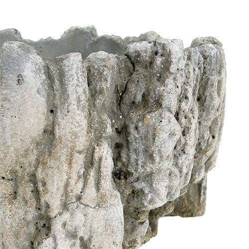 Floristik24 Pot met schors 20.5cm x 17cm 1st