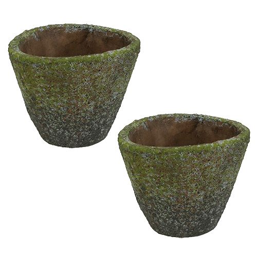 Floristik24 Plantenpot Ø12cm H11cm 2st