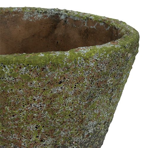 Floristik24 Plantenpot Ø12cm H11cm 2st