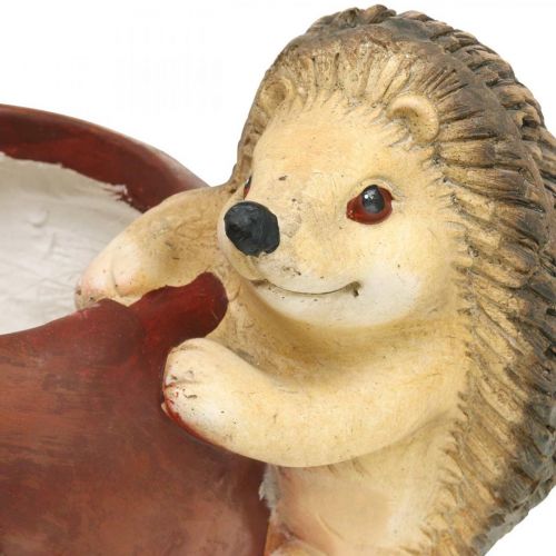 Artikel Plantenbak, appel met egel, herfstdecoratie, cachepot, keramiek Ø16cm H22cm B33cm