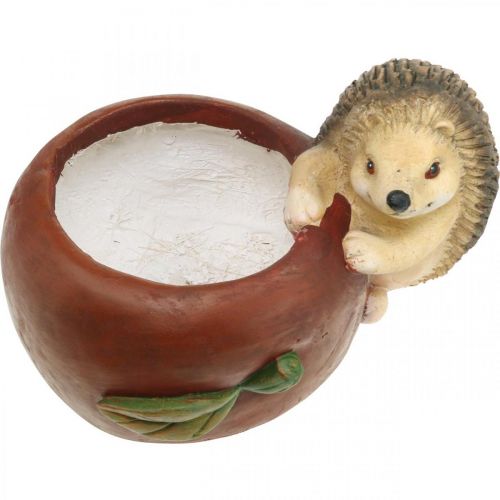 Artikel Plantenbak, appel met egel, herfstdecoratie, cachepot, keramiek Ø16cm H22cm B33cm