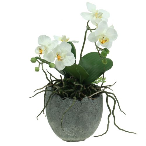Floristik24 Plantenpot beton eierschaal Ø14,5cm 15cm 2st
