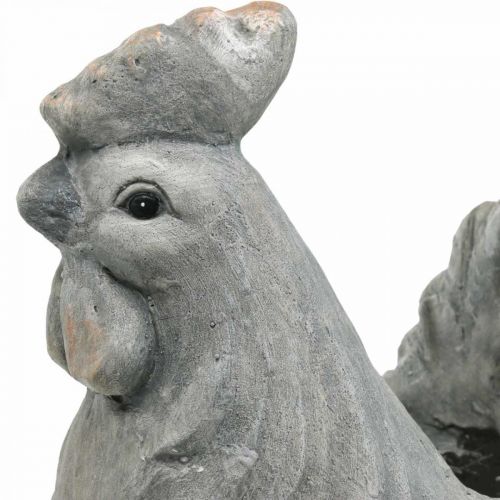 Floristik24 Kip voor opplant, paasdecoratie, plantenpot, lente, decoratieve kip betonlook H30cm