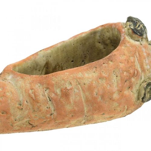 Artikel Decoratieve wortel, betonnen decoratie voor planten, Pasen, wortelplantpot, lentedecoratie L28cm