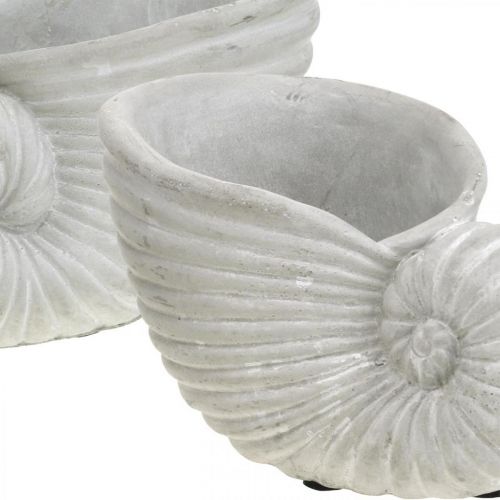 Floristik24 Schelpen voor planten, maritieme decoratie, plantenpot Nautilus beton L15cm H9.5cm 2st