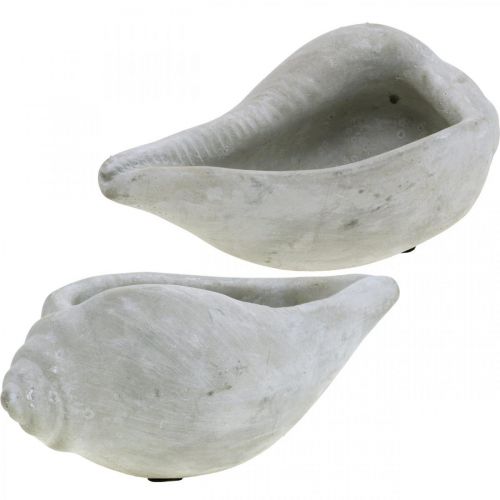 Floristik24 Schelp plantenpot, plantenschaal slakkenhuis, maritiem beton decoratie L17cm H7.5cm 3 stuks