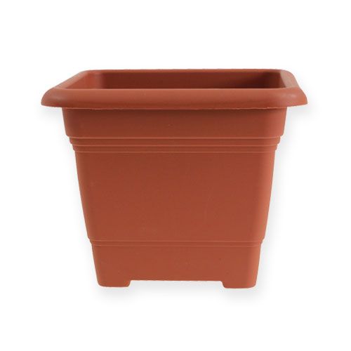 Floristik24 Bloempot "Nora" 14cm x 14cm H11cm terracotta, 1stuk