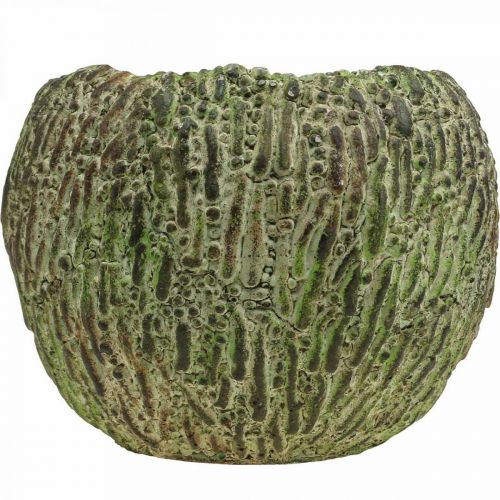 Artikel Plantenbak beton antiek look groen, bruine plantenpot rond Ø15.5cm